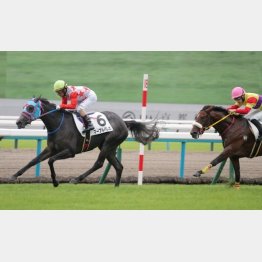 デビュー戦を快勝