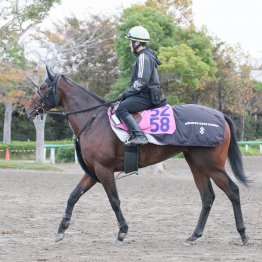 【亀井の土曜競馬コラム・ファンタジーＳ】