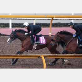 1Fの距離延長も問題なし