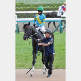 京都替わりはプラス