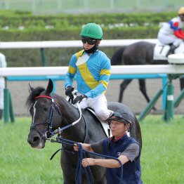 【新谷の土曜競馬コラム・ハロウィンＳ】