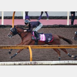 状態もアップしている