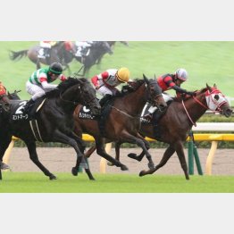 当該舞台の陣馬特別で0秒1差③着