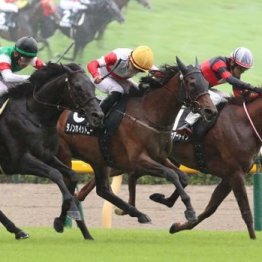 【東京本紙・外山の土曜東京９Ｒ】