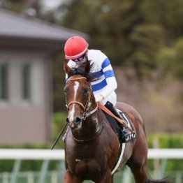 【東京本紙・外山の土曜東京10Ｒ】