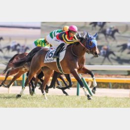 東京千八で既走馬を相手にデビュー勝ち