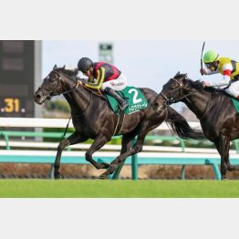 芝とはいえ、重賞勝ちがある