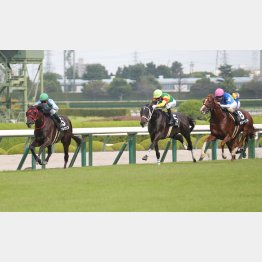 昇級初戦でメドのつく走り(中央)