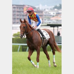 ダート戻りは狙う価値あり