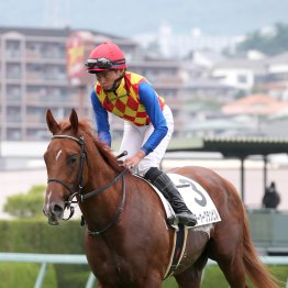 【大阪本紙・弘中の土曜京都10Ｒ】