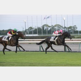 昇級初戦で②着