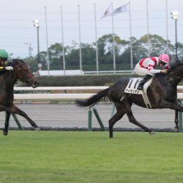 【大阪本紙・弘中の土曜京都12Ｒ】