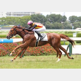 幼い面を見せながらも新馬V