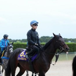 【天皇賞】出走全馬の特選情報