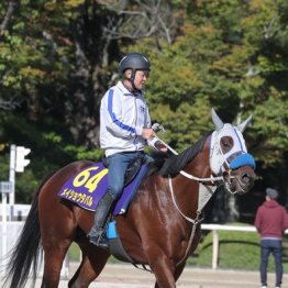 【天皇賞】出走全馬の特選情報