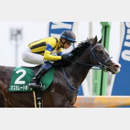 春には東京で共同通信杯勝ち