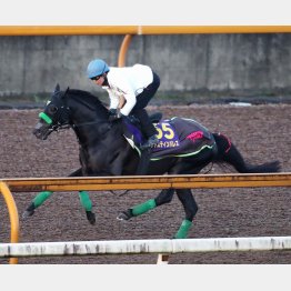 脚力はまだまだ健在