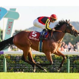 【市川の日曜競馬コラム・天皇賞】