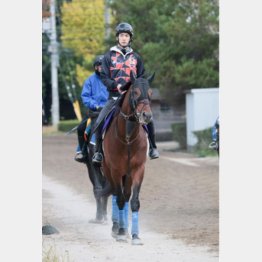 担当者も好感触