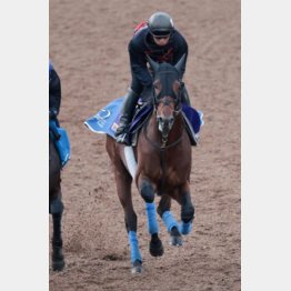 今週の追い切りで緩急自在の動き