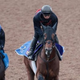 【木津の日曜競馬コラム・天皇賞】