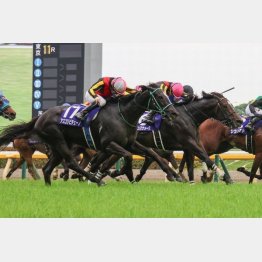 左回りのヴィクトリアマイルで首差②着