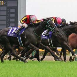 【武田の日曜競馬コラム・天皇賞】