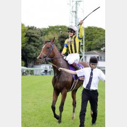 皐月賞の再現へ