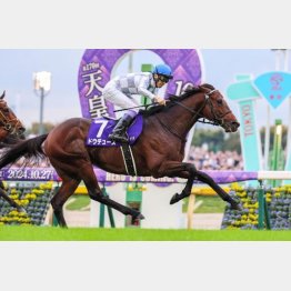 昨24年は2番人気ドウデュースが差し切り