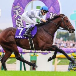 【注目重賞／データで買う・天皇賞】