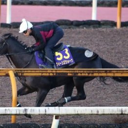 【注目重賞／追い切りで買う・天皇賞】