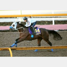 馬任せのまま1F11秒1