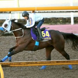 【注目重賞／追い切りで買う・天皇賞】