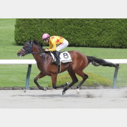 ラストは手綱を押さえる余裕があった