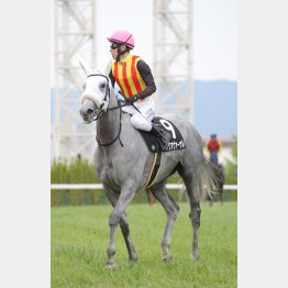 距離延長で見直す