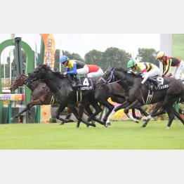 3勝クラスを1戦で突破