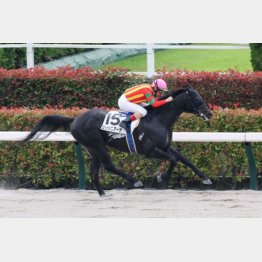 前々走１勝クラスを同じ舞台で快勝