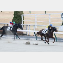 3走前はスムーズな競馬で抜け出してV