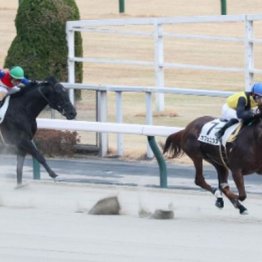 【東京本紙・外山の日曜東京10Ｒ】