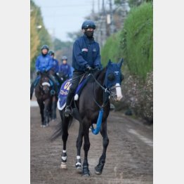 ひと夏越して心身成長
