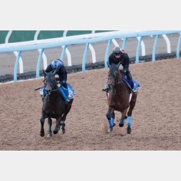 今週も併せて5F65秒9(右)