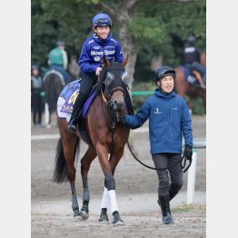 鞍上の戸崎も好感触