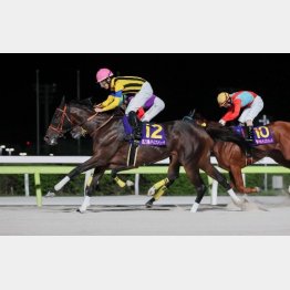 初ダートのレディスプレリュードで重賞制覇