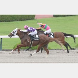 水無月Sでオープン特別勝ち