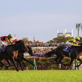 【天皇賞】またまたルメールだ！　３歳馬マスカレードボールが初のGⅠ勝ち