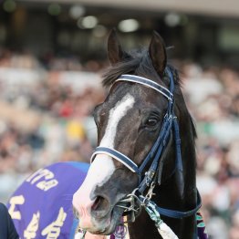 超スローでトニービン＋ＳＳクロスの東京向きの決め手が生きた天皇賞