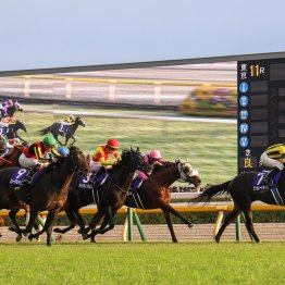 超スローでトニービン＋ＳＳクロスの東京向きの決め手が生きた天皇賞