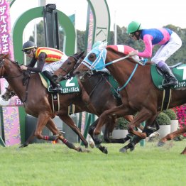 超スローでトニービン＋ＳＳクロスの東京向きの決め手が生きた天皇賞