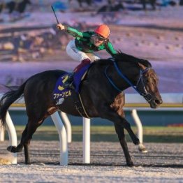 【ＪＢＣスプリント】地方馬ファーンヒル３連勝で初のビッグタイトル