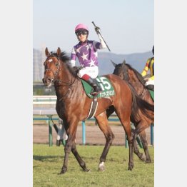 昨年は３歳馬サンライズジパングがＶ